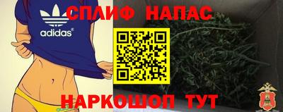 прущие грибы Кулебаки